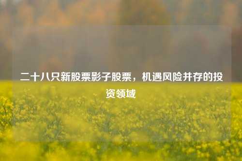 二十八只新股票影子股票，机遇风险并存的投资领域