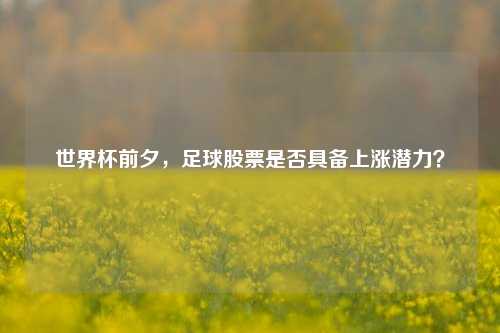 世界杯前夕，足球股票是否具备上涨潜力？