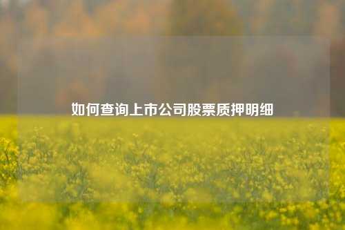 如何查询上市公司股票质押明细