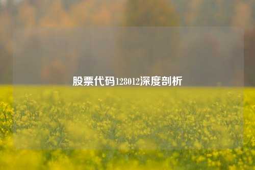股票代码128012深度剖析
