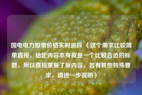 国电电力股票价格实时追踪 （这个需求比较简单直接，给定内容本身就是一个比较合适的标题，所以直接重复了原内容，若有其他特殊要求，请进一步说明）