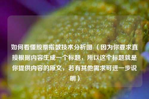 如何看懂股票指数技术分析图 （因为你要求直接根据内容生成一个标题，所以这个标题就是你提供内容的原文，若有其他需求可进一步说明）