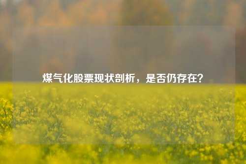 煤气化股票现状剖析，是否仍存在？
