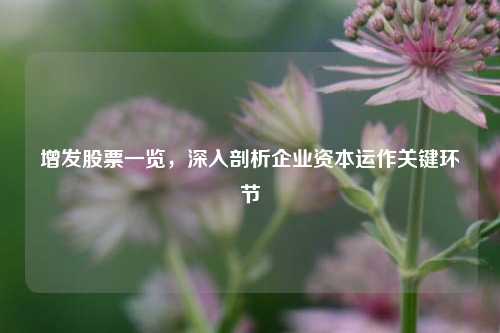 增发股票一览，深入剖析企业资本运作关键环节