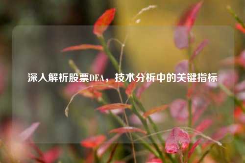 深入解析股票DEA，技术分析中的关键指标