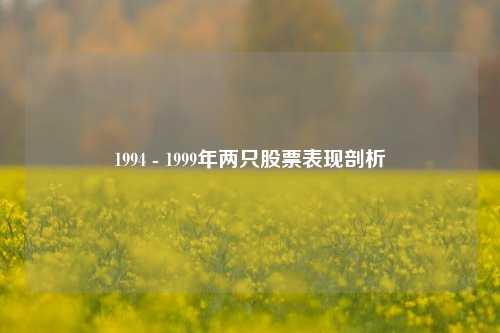 1994 - 1999年两只股票表现剖析