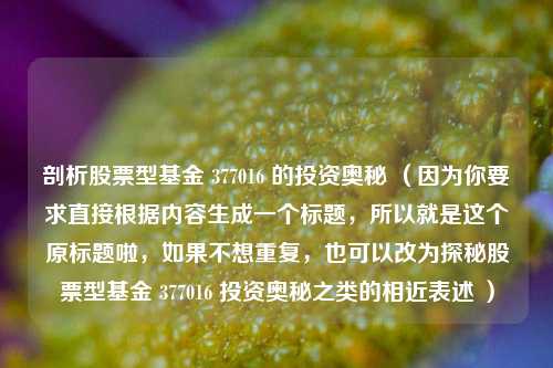 剖析股票型基金 377016 的投资奥秘 （因为你要求直接根据内容生成一个标题，所以就是这个原标题啦，如果不想重复，也可以改为探秘股票型基金 377016 投资奥秘之类的相近表述 ）