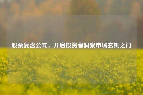 股票复盘公式，开启投资者洞察市场玄机之门