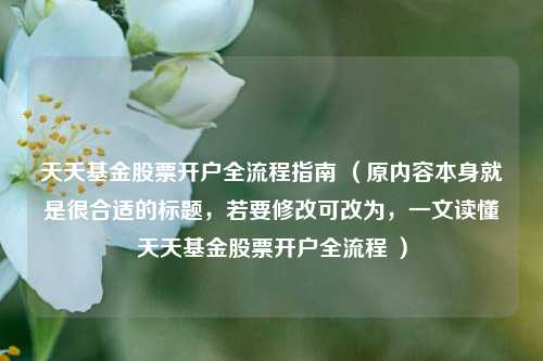 天天基金股票开户全流程指南 （原内容本身就是很合适的标题，若要修改可改为，一文读懂天天基金股票开户全流程 ）