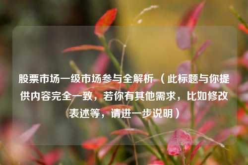 股票市场一级市场参与全解析 （此标题与你提供内容完全一致，若你有其他需求，比如修改表述等，请进一步说明）