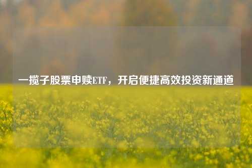 一揽子股票申赎ETF，开启便捷高效投资新通道