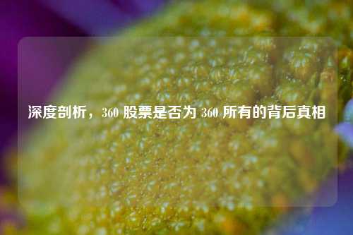深度剖析，360 股票是否为 360 所有的背后真相