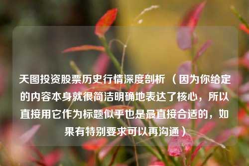 天图投资股票历史行情深度剖析 （因为你给定的内容本身就很简洁明确地表达了核心，所以直接用它作为标题似乎也是最直接合适的，如果有特别要求可以再沟通）