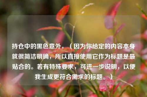 持仓中的黑色意外，（因为你给定的内容本身就很简洁明确，所以直接使用它作为标题是最贴合的。若有特殊要求，可进一步说明，以便我生成更符合需求的标题。）