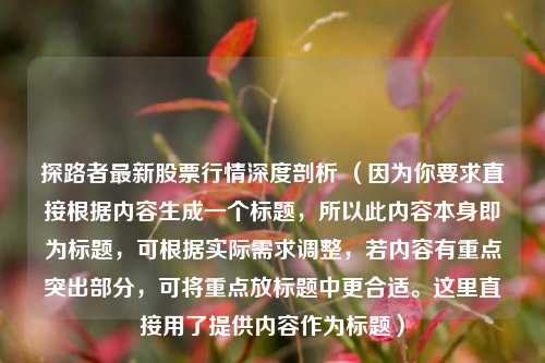 探路者最新股票行情深度剖析 （因为你要求直接根据内容生成一个标题，所以此内容本身即为标题，可根据实际需求调整，若内容有重点突出部分，可将重点放标题中更合适。这里直接用了提供内容作为标题）