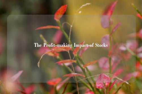 The Profit-making Impact of Stocks