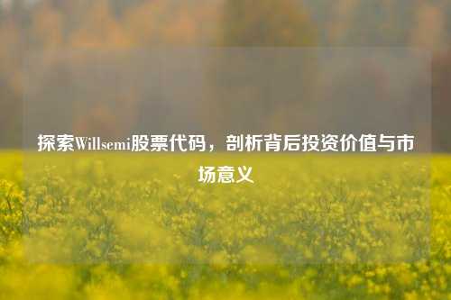 探索Willsemi股票代码，剖析背后投资价值与市场意义