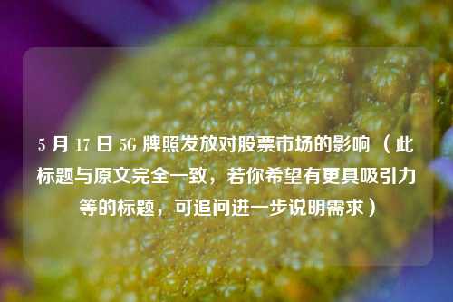 5 月 17 日 5G 牌照发放对股票市场的影响 （此标题与原文完全一致，若你希望有更具吸引力等的标题，可追问进一步说明需求）