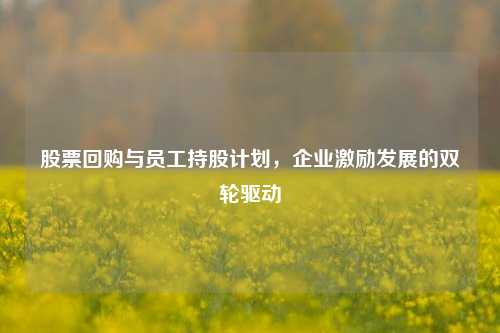 股票回购与员工持股计划，企业激励发展的双轮驱动
