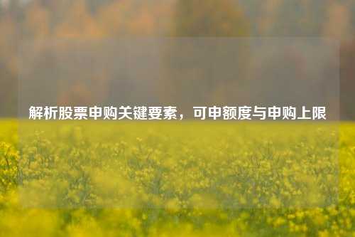 解析股票申购关键要素，可申额度与申购上限