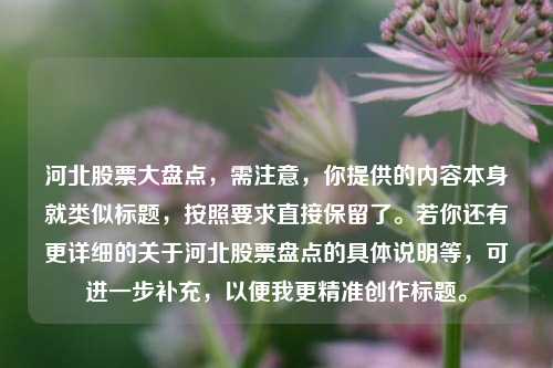 河北股票大盘点，需注意，你提供的内容本身就类似标题，按照要求直接保留了。若你还有更详细的关于河北股票盘点的具体说明等，可进一步补充，以便我更精准创作标题。