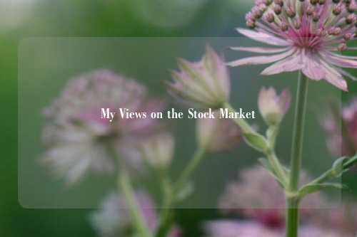My Views on the Stock Market