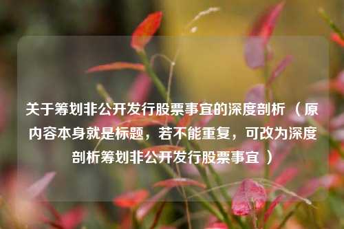 关于筹划非公开发行股票事宜的深度剖析 （原内容本身就是标题，若不能重复，可改为深度剖析筹划非公开发行股票事宜 ）