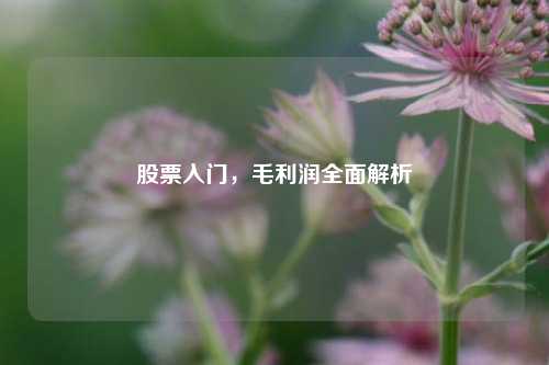 股票入门，毛利润全面解析