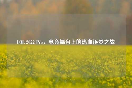 LOL 2022 Pro，电竞舞台上的热血逐梦之战