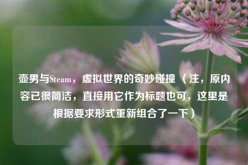 壶男与Steam，虚拟世界的奇妙碰撞 （注，原内容已很简洁，直接用它作为标题也可，这里是根据要求形式重新组合了一下）