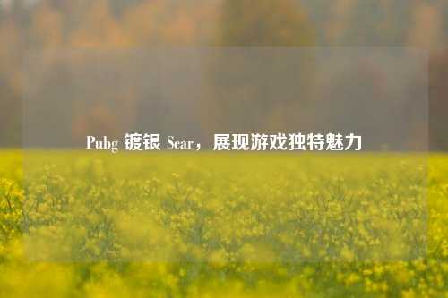 Pubg 镀银 Scar，展现游戏独特魅力