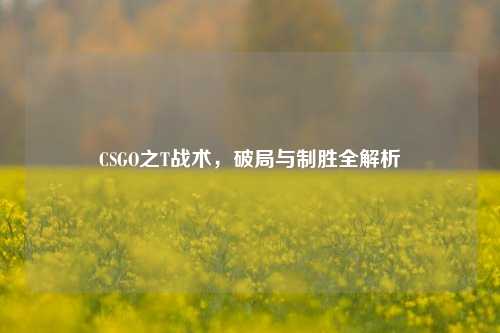 CSGO之T战术，破局与制胜全解析