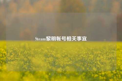Steam黎明帐号相关事宜