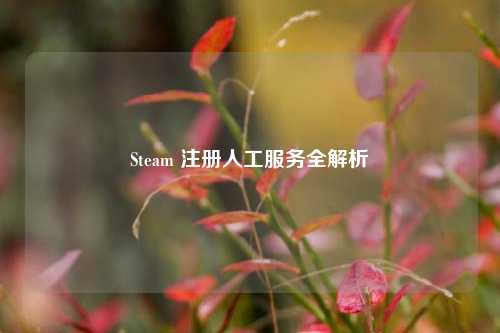 Steam 注册人工服务全解析