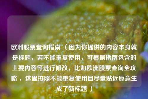 欧洲股票查询指南 （因为你提供的内容本身就是标题，若不能重复使用，可根据指南包含的主要内容等进行修改，比如欧洲股票查询全攻略 ，这里按照不能重复使用且尽量贴近原意生成了新标题 ）