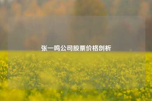 张一鸣公司股票价格剖析