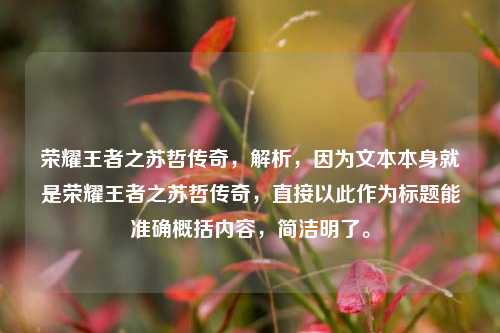 荣耀王者之苏哲传奇，解析，因为文本本身就是荣耀王者之苏哲传奇，直接以此作为标题能准确概括内容，简洁明了。