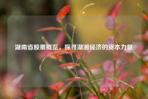湖南省股票概览，探寻湖湘经济的资本力量