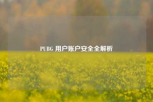 PUBG 用户账户安全全解析