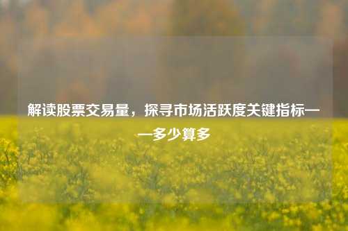 解读股票交易量，探寻市场活跃度关键指标——多少算多