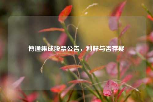 博通集成股票公告，利好与否存疑