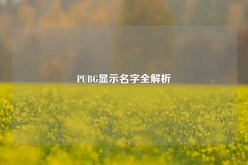 PUBG显示名字全解析