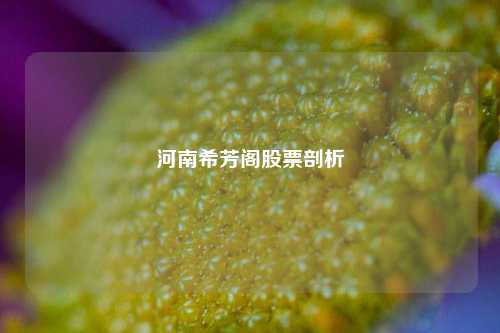 河南希芳阁股票剖析