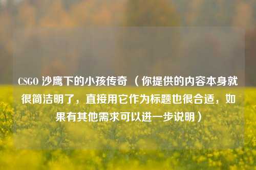 CSGO 沙鹰下的小孩传奇 （你提供的内容本身就很简洁明了，直接用它作为标题也很合适，如果有其他需求可以进一步说明）