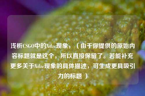 浅析CSGO中的Xdzc现象，（由于你提供的原始内容标题就是这个，所以直接保留了。若能补充更多关于Xdzc现象的具体描述，可生成更具吸引力的标题 ）