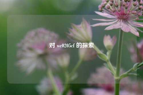 对 wc0205cf 的探索