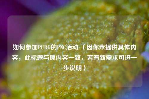 如何参加PUBG的PNC活动 （因你未提供具体内容，此标题与原内容一致，若有新需求可进一步说明）