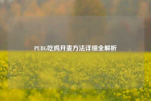 PUBG吃鸡开麦 *** 详细全解析