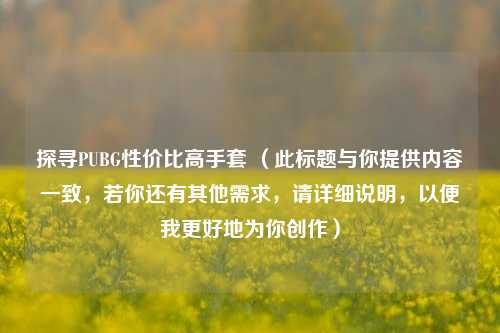 探寻PUBG性价比高手套 （此标题与你提供内容一致，若你还有其他需求，请详细说明，以便我更好地为你创作）