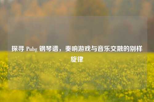 探寻 Pubg 钢琴谱，奏响游戏与音乐交融的别样旋律